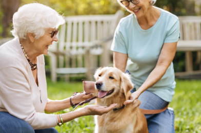 Pet-Friendly Activities for Seniors